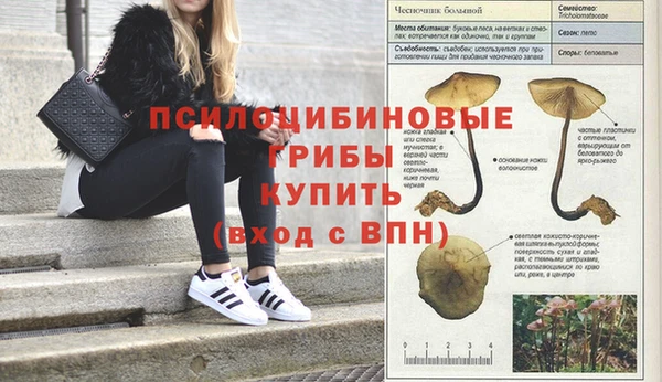 трава Балахна