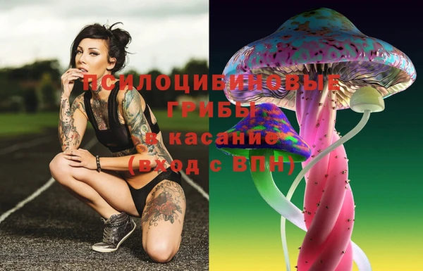 трава Балахна
