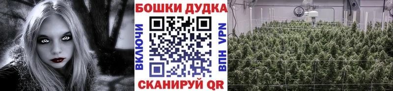 МАРИХУАНА план  Бузулук 